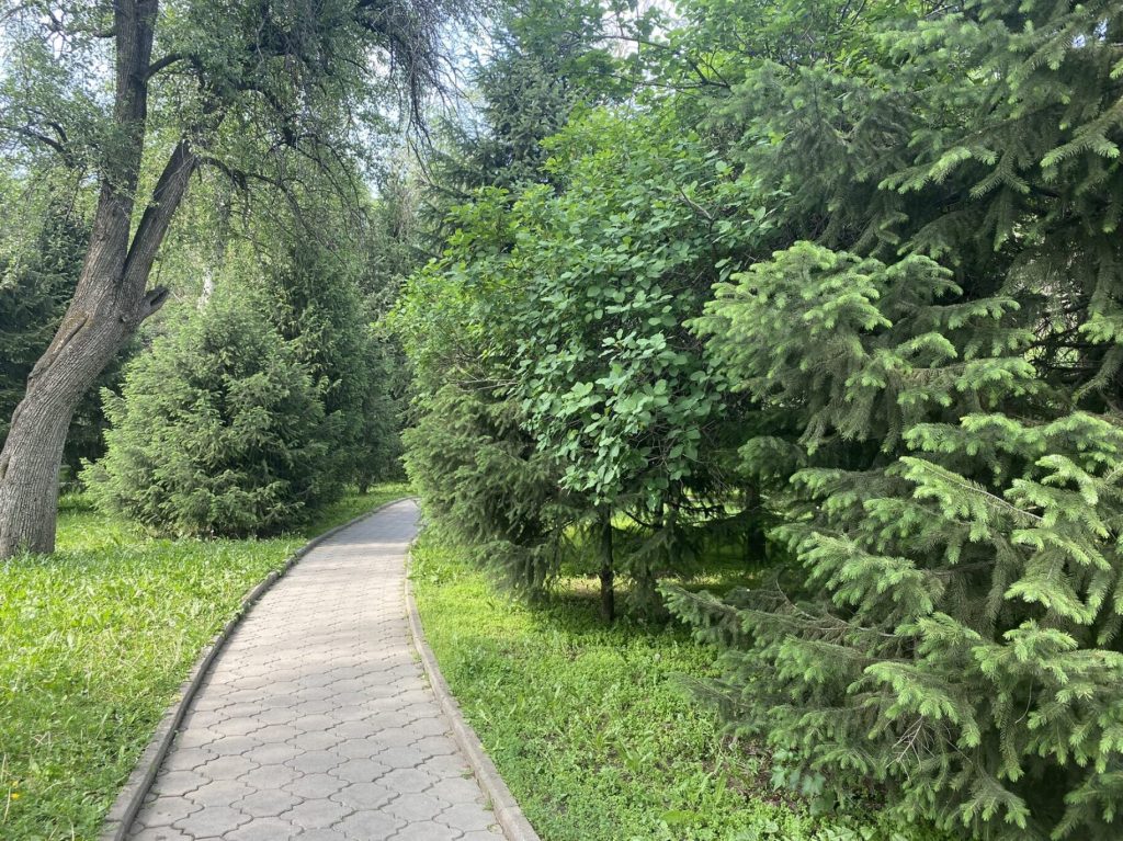 Территория — QAZAQSTAN Resort